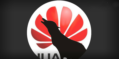 欧亿平台：一个资深多媒体通讯解决计划提供商“怎样做最好的产品”