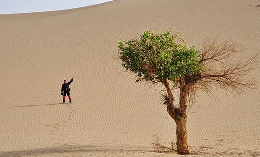 情形；な悠稻刍